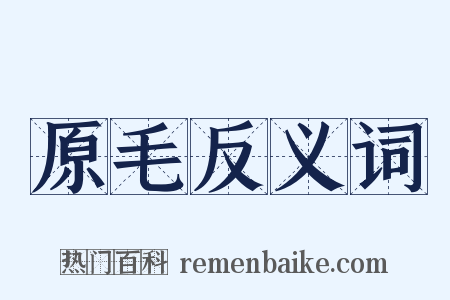 原毛反义词是什么意思的图片
